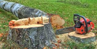 Best Tree Removal  in Romeovle, IL