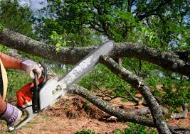 Best Utility Line Clearance  in Romeovle, IL